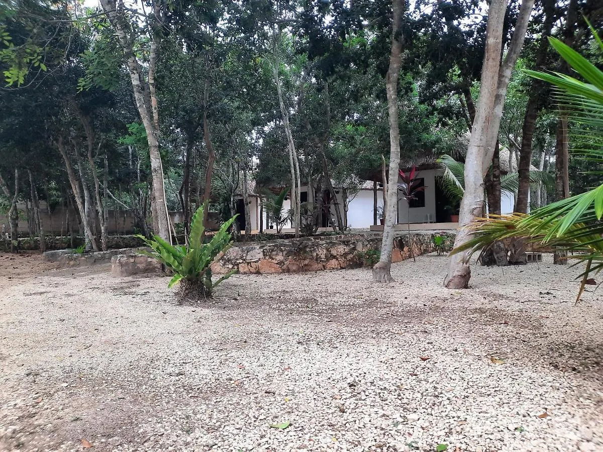 Hotel Cabanas Maalokin Coba 0*,