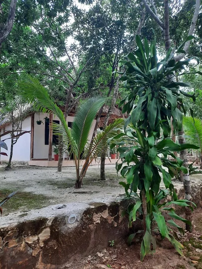 Hotel Cabanas Maalokin Coba Mexico