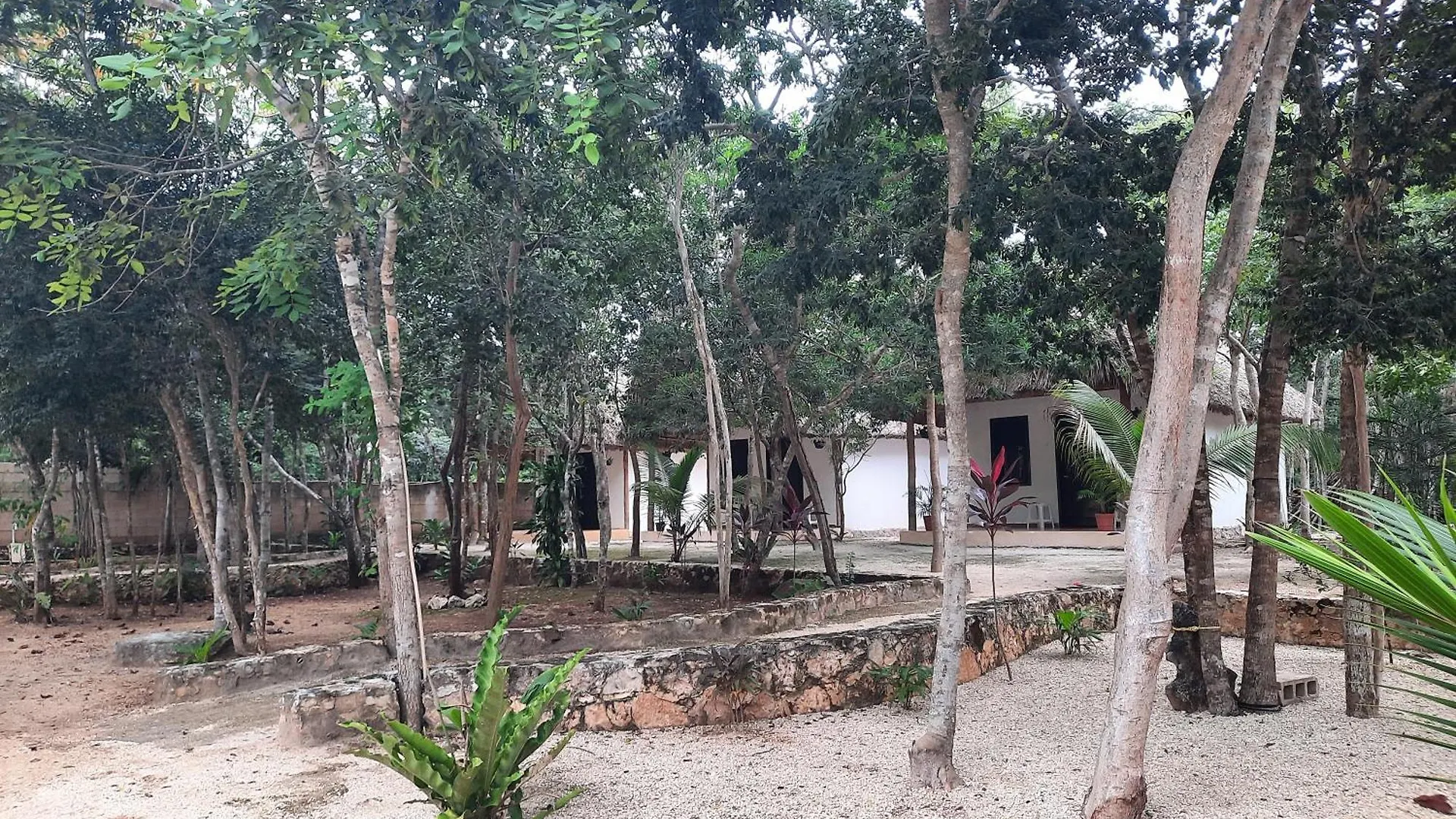 Hotel Cabanas Maalokin Coba Mexico