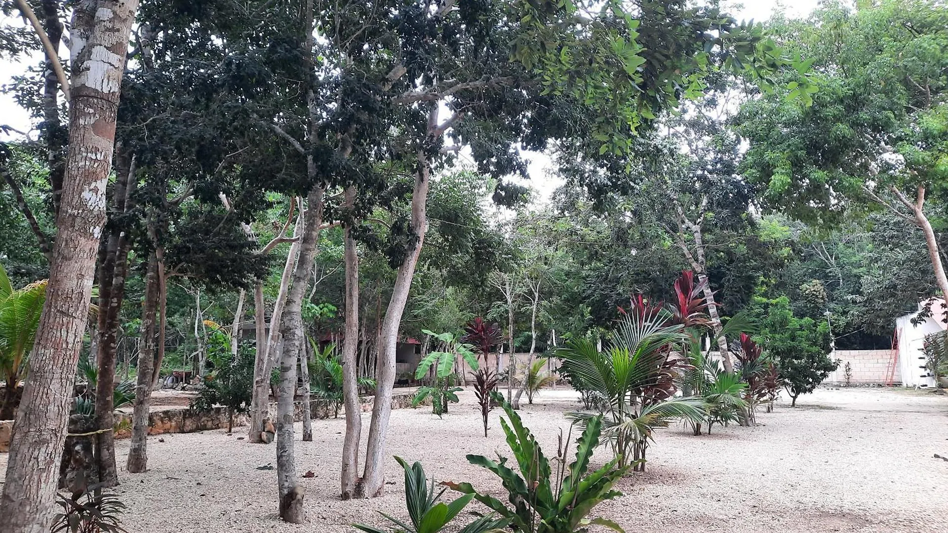 Hotel Cabanas Maalokin Coba