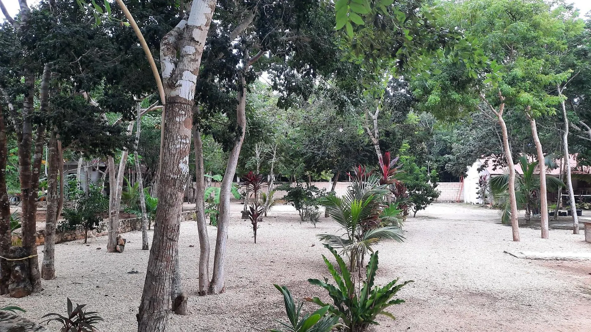 Hotel Cabanas Maalokin Coba