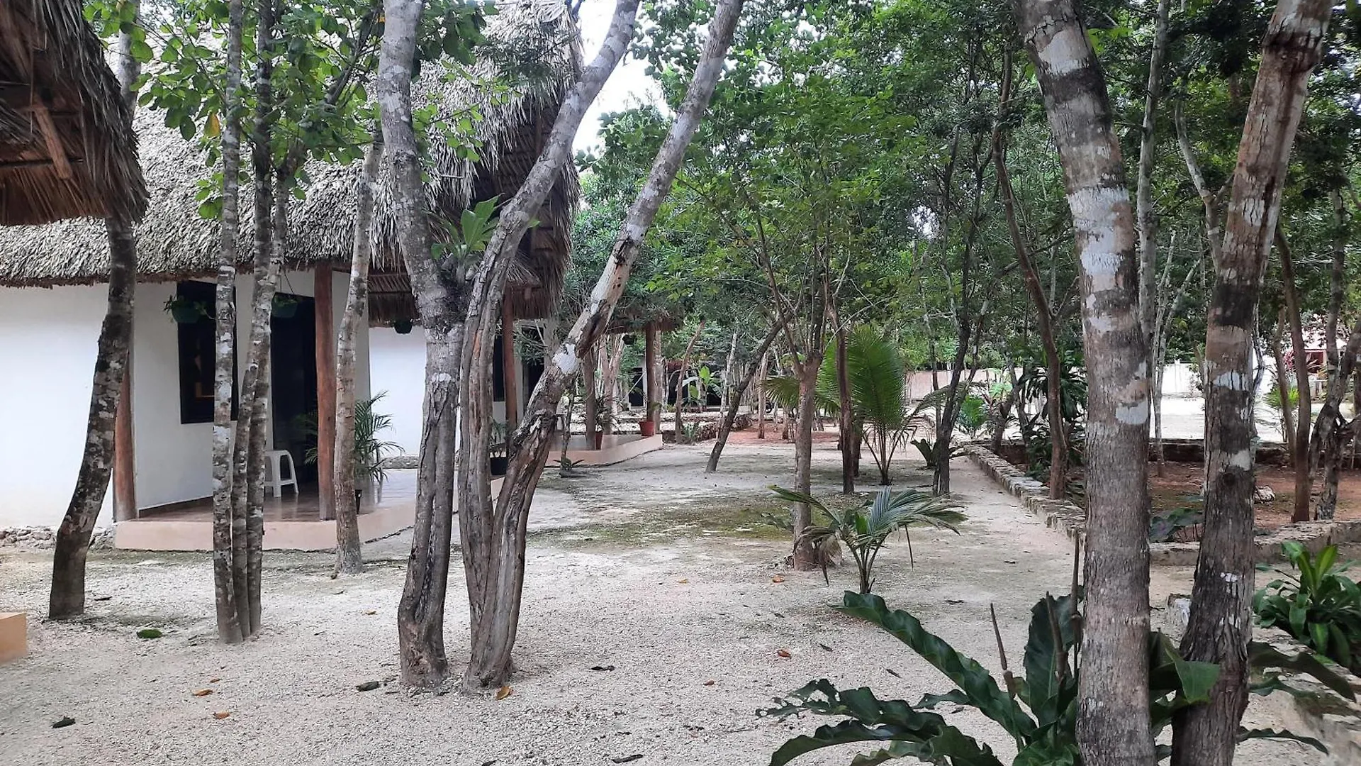 Hotel Cabanas Maalokin Coba Mexico