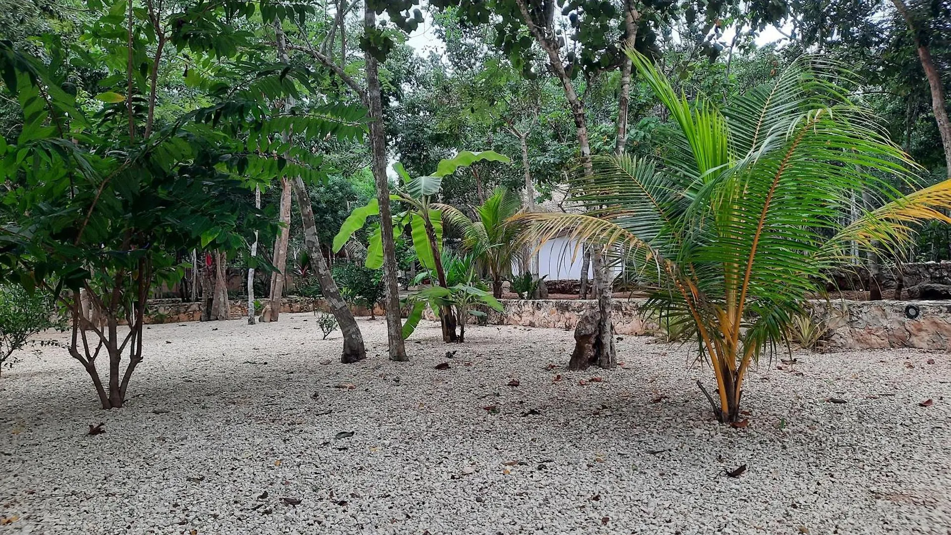 Hotel Cabanas Maalokin Coba