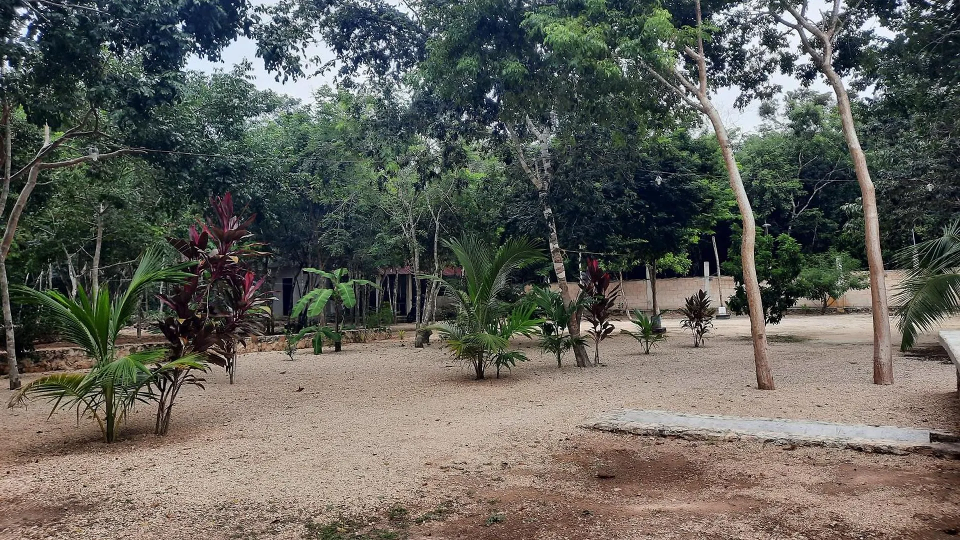 Hotel Cabanas Maalokin Coba 0*,