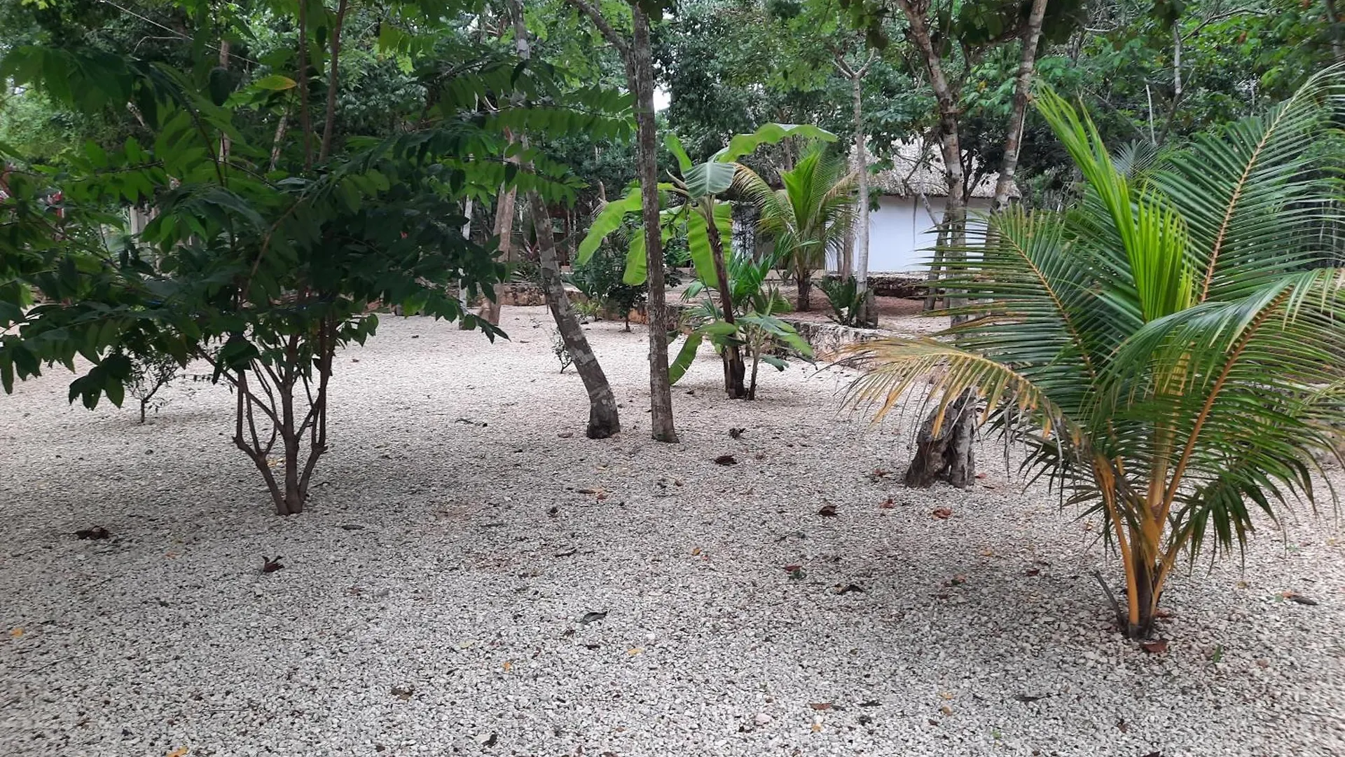 Hotel Cabanas Maalokin Coba