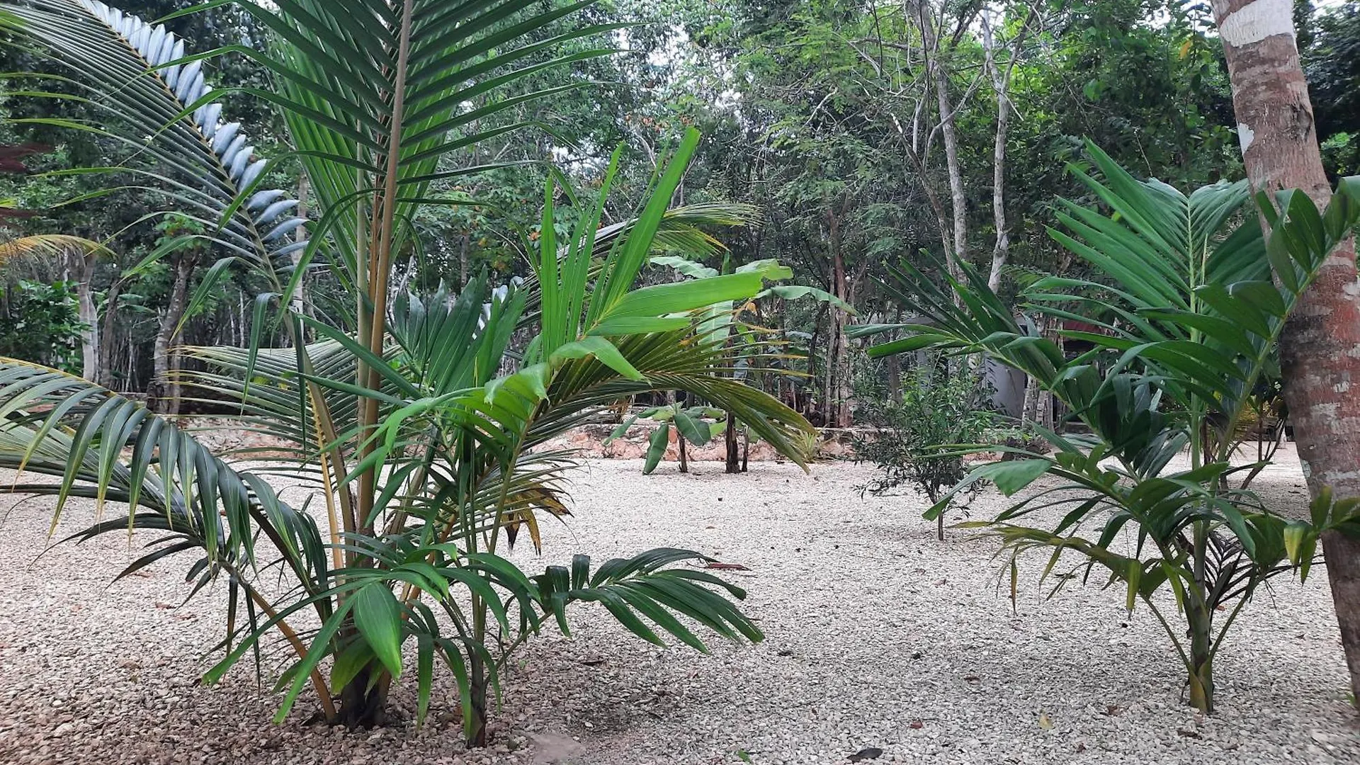 Hotel Cabanas Maalokin Cobá Mexico